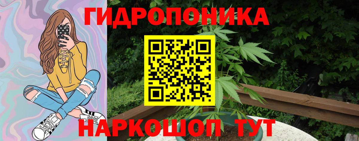 Каннабис планчик  Конопля VHQ  Вход с VPN  Канабис Bruce Banner  Мытищи 